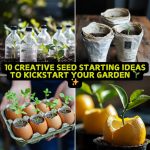 10 Creative Seed Starting Ideas to Kickstart Your Garden