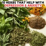 10 Herbs That Help With Depression & Anxiety