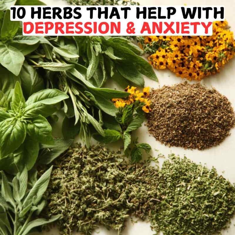 10 Herbs That Help With Depression & Anxiety