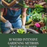 10 Weird Intensive Gardening Methods That Really Work