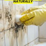  3 Ways To Kill Mold Naturally