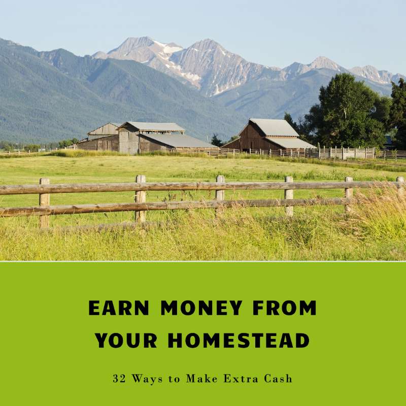 32 Ways to Earn Money from Your Homestead