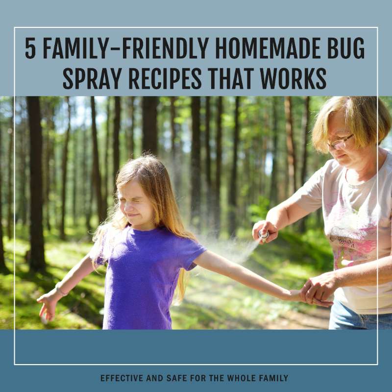 5 Family-Friendly Homemade Bug Spray Recipes That Works