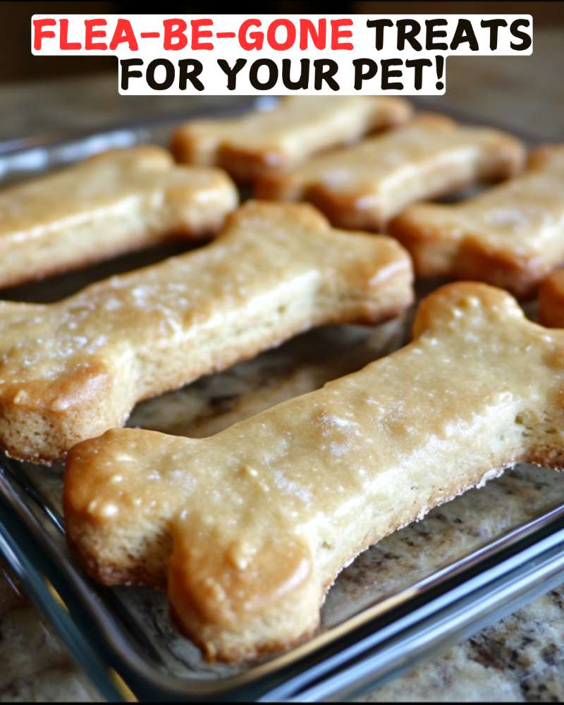 Flea-Be-Gone Treats For Your Pet!