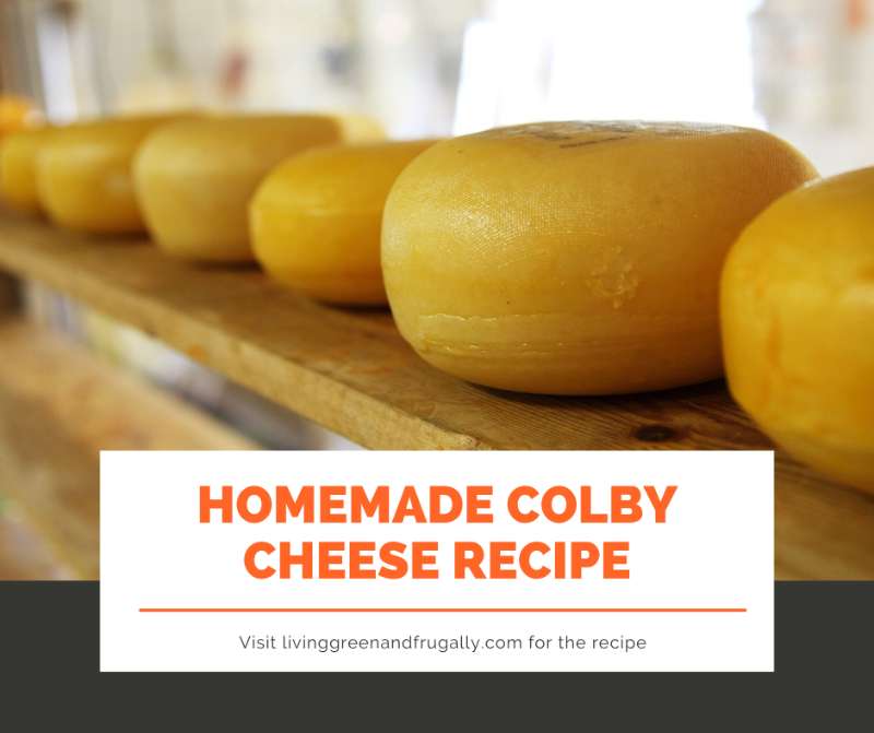 Homemade Colby Cheese Recipe