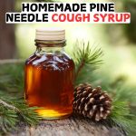 Homemade Pine Needle Cough Syrup