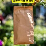 How To Keep Wasps Away Using A Brown Paper Bag