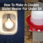 How To Make A Chicken Water Heater For Under $4