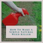 How To Make A Simple Natural Weed Killer