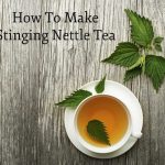 How To Make Stinging Nettle Tea