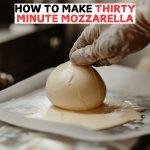 How To Make Thirty Minute Mozzarella