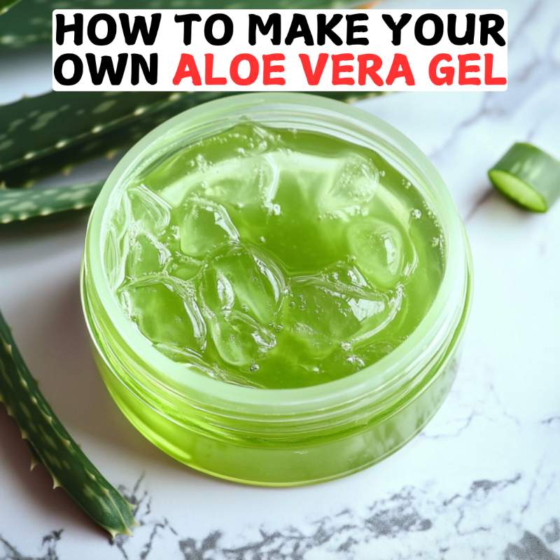 How To Make Your Own Aloe Vera Gel