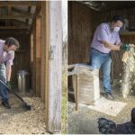 Clean A Chicken Coop Naturally